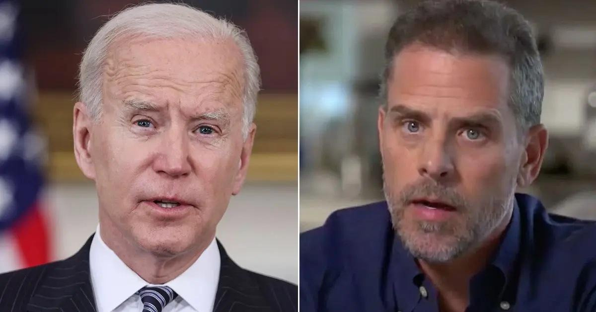 hunter biden sold artwork to democratic donor joe appointed federal commission