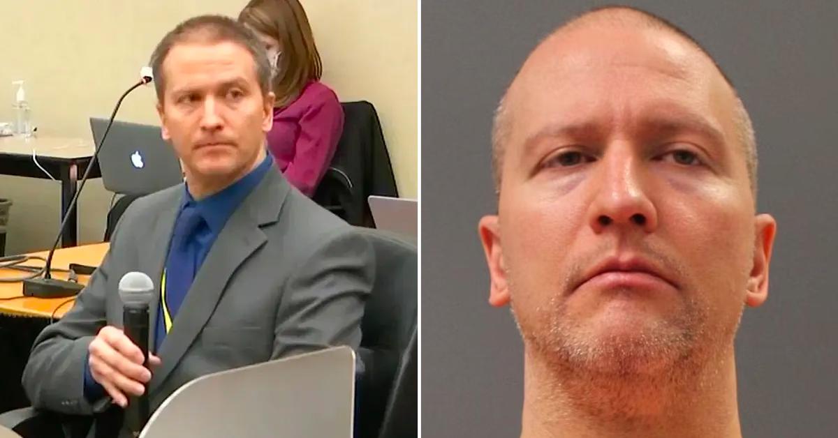 Derek Chauvin Losing Hair In First Mug Shot After Murder Conviction