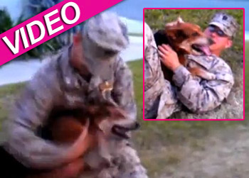 //dog reunite master