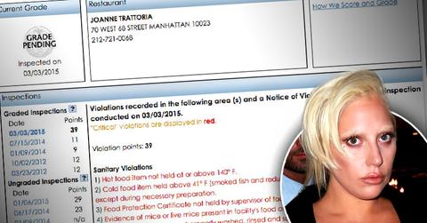 Lady Gaga Family Restaurant Mice