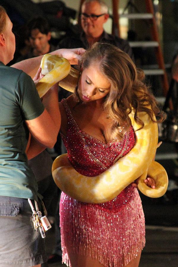 Bindi Irwin Dancing With The Stars Snake