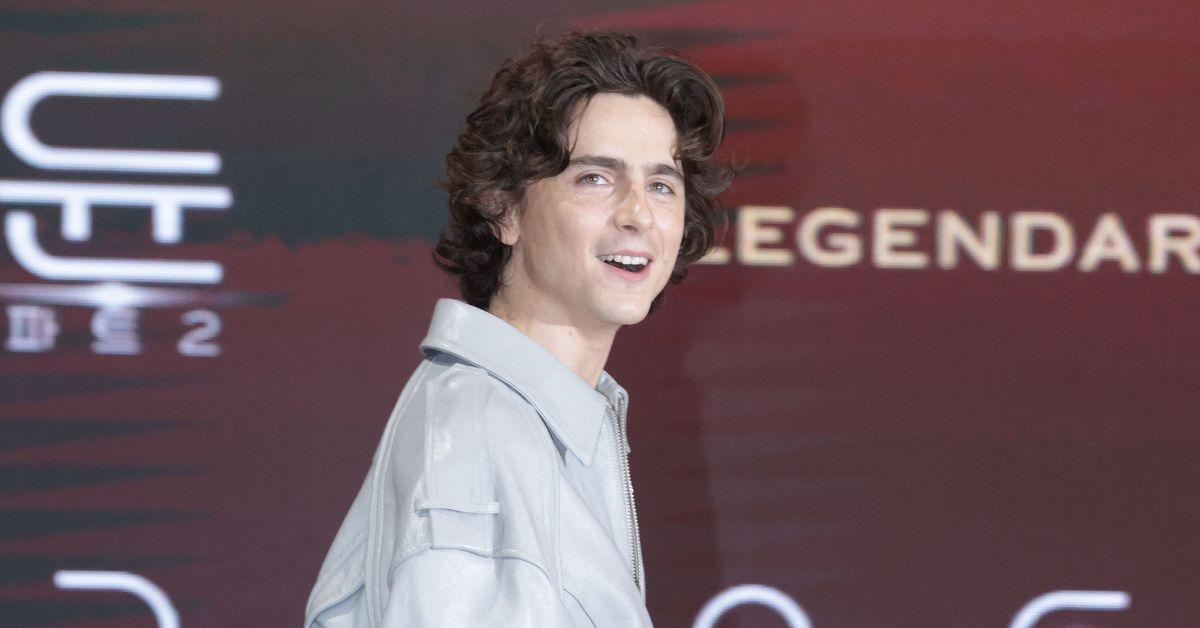 EXCLUSIVE: Timothée Chalamet Sparks Anorexia Craze as Fans Are Desperate to Join Hollywood's Frighteningly Skinny Set of 'Noodle Boys'