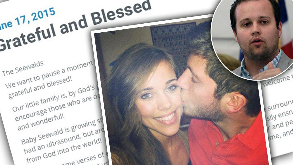 Jessa Duggar Josh Molestation Scandal