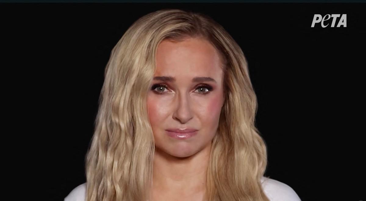 Zach Hickerson discovered Hayden Panettiere unresponsive in the living room.