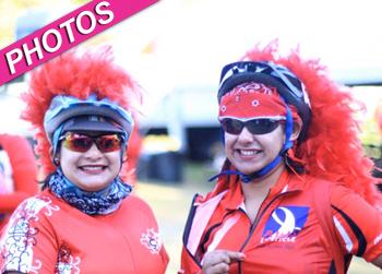 //aids life cycle post