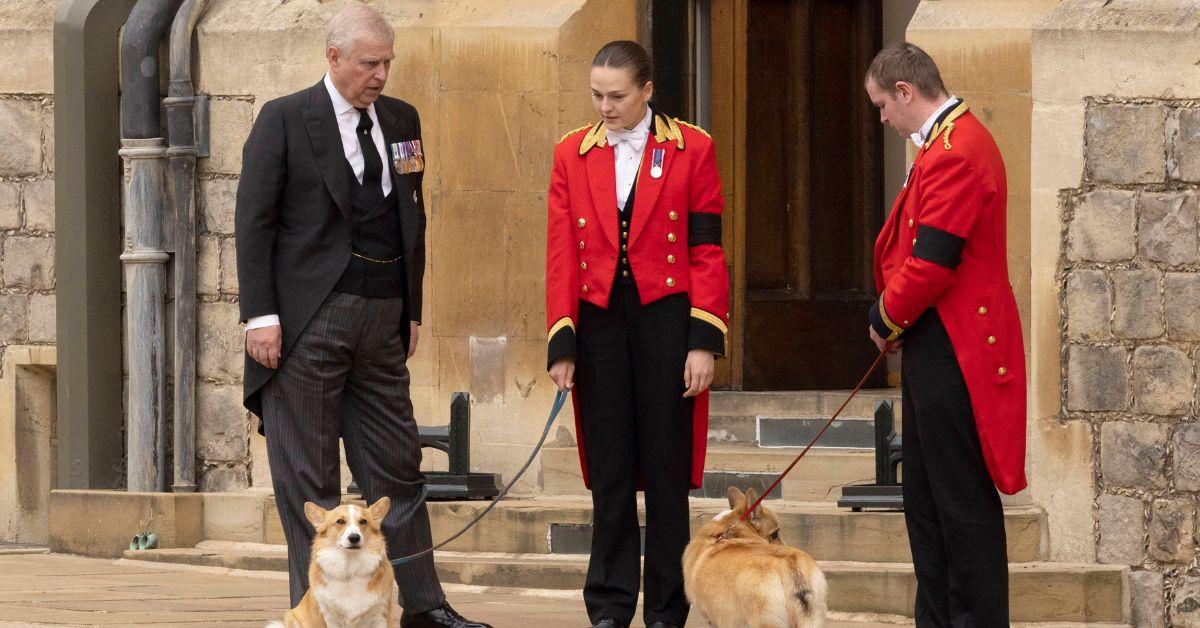 prince andrew refuses walk queen elizabeths corgis chinese spy scandal