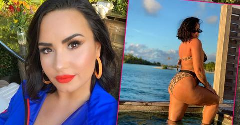 Demi Lovato Shares Unedited Bikini Photo Showing Cellulite