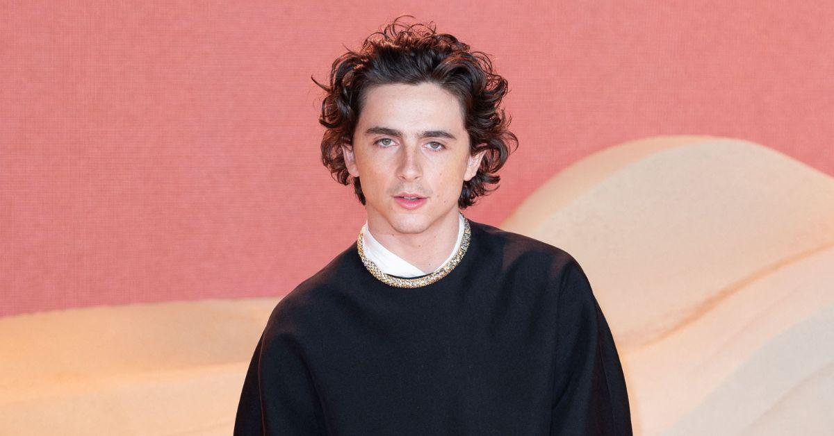 timothee chalamet beautiful boy