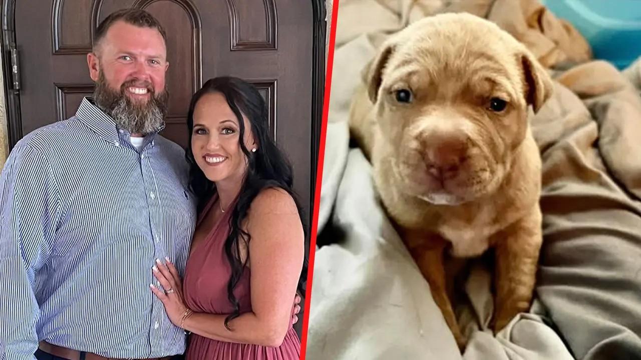 Malia Nummerdor posted a message about 'gaslighting' before her estranged husband, Erik, uploaded a video of her allegedly having relations with their dog.
