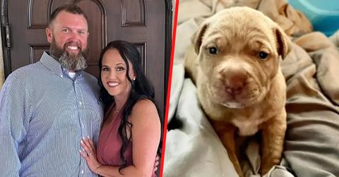Malia Nummerdor posted a message about 'gaslighting' before her estranged husband, Erik, uploaded a video of her allegedly having relations with their dog.