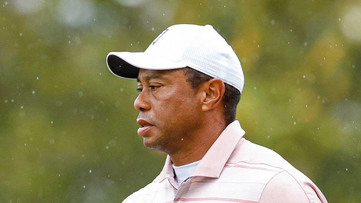 picture of Tiger Woods