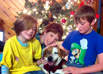 //lost dog blind abby