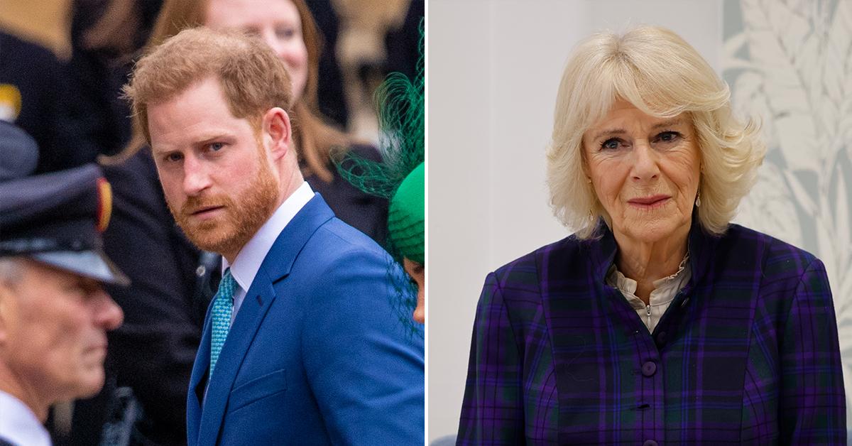 prince harry cant stand camilla pp