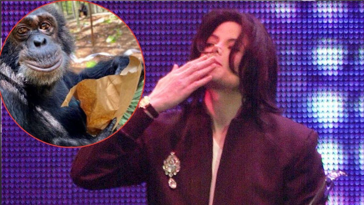 michael Jackson Bubbles