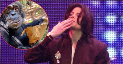 michael Jackson Bubbles