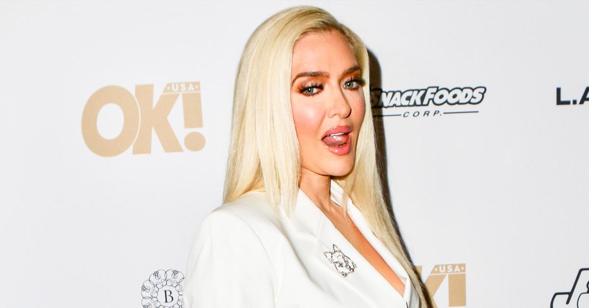 'RHOBH' Star Erika Jayne's L.A. Mansion Asking Price Slashed Down To ...