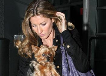 //gisele vida fame flynet