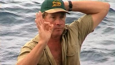 From New Footage To Last Words—20 Secrets & Scandals Surrounding Crocodile Hunter Steve Irwin’s Death Revealed