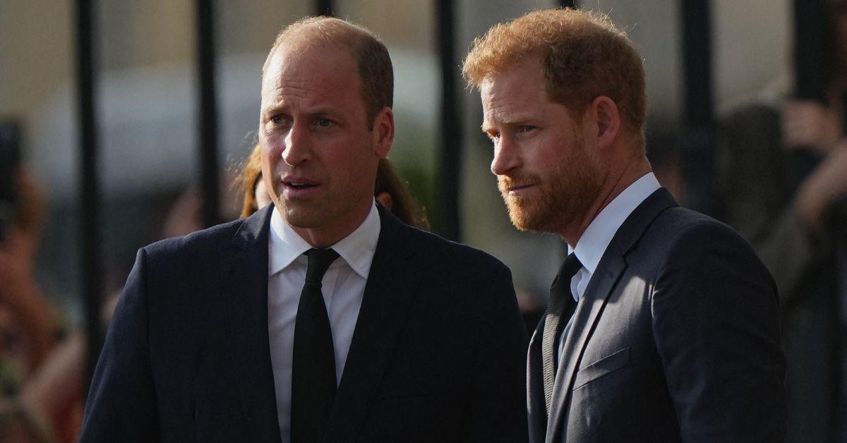 Photo of Prince William and Harry 