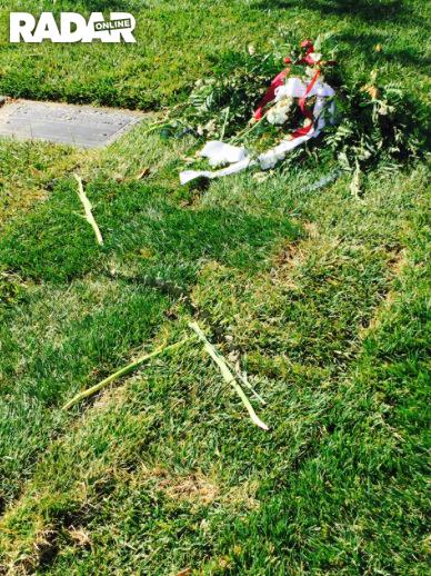 Dick Van Patten Unmarked Grave Photos