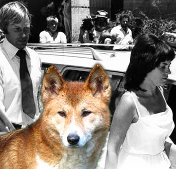 ‘The Dingo’s Got My Baby!’ Case Reopened, A Fourth Inquest Is Announced