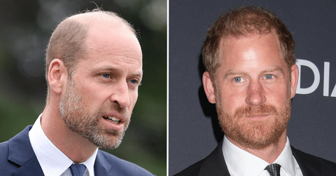 Split Photo of Prince William, Prince Harry