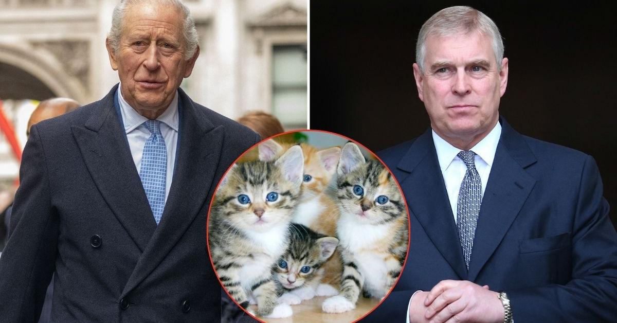 EXCLUSIVE: King Charles 'Terrified' of the One 'Guest'&hellip;