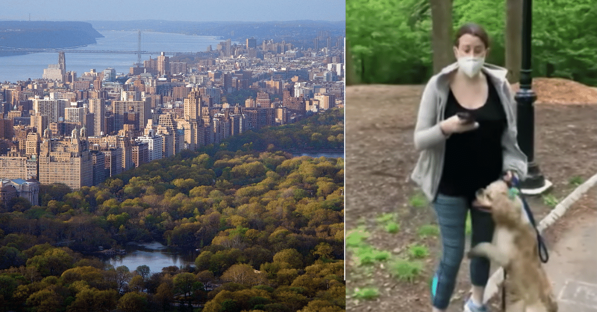 ‘Central Park Karen’ Loses Lawsuit After Being Fired