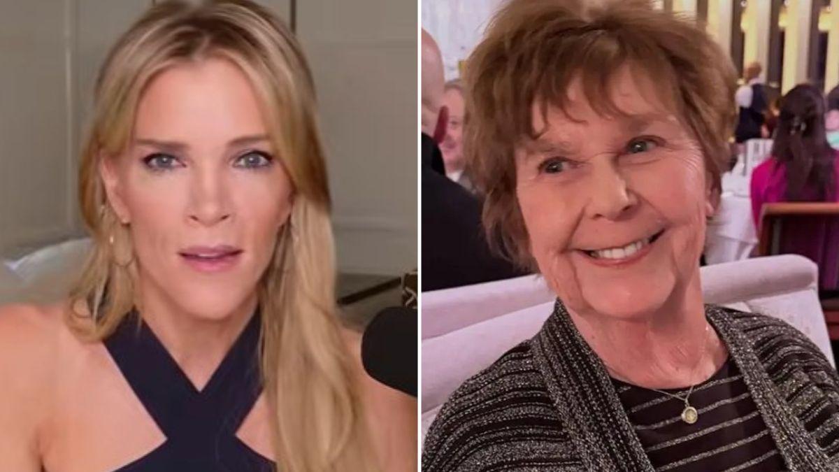 megyn kelly resurfaces chilling today show footage nancy guthrie bedroompp