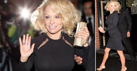 //pamela anderson politics