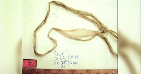 Scott Peterson Murder Trial Laci Evidence Photos