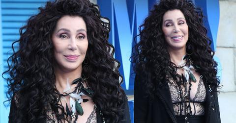 Mamma Mia Premiere Cher Sheer Top