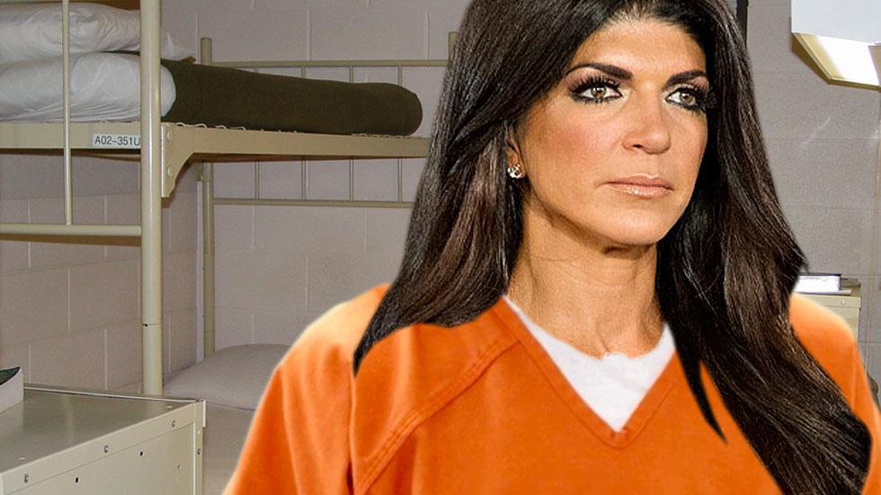 //teresa giudice slider