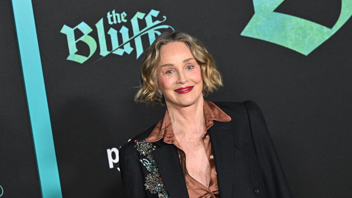 Sharon Stone has been facing backlash as critics brand the 'Basic Instinct' star a hypocrite over obvious new plastic surgery.