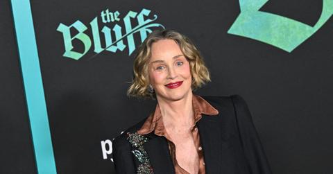 Sharon Stone has been facing backlash as critics brand the 'Basic Instinct' star a hypocrite over obvious new plastic surgery.