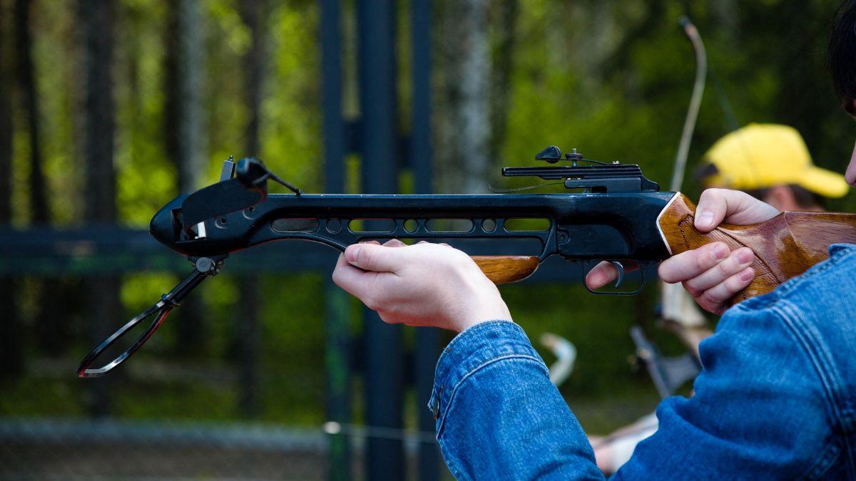 Photo of a crossbow