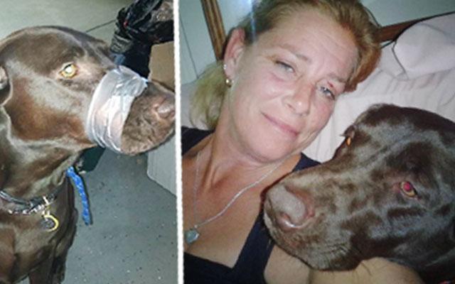 Animal Cruelty: Woman Duct Tapes Dog's Mouth Shut