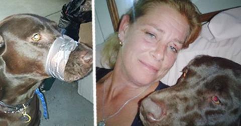 Animal Cruelty: Woman Duct Tapes Dog's Mouth Shut