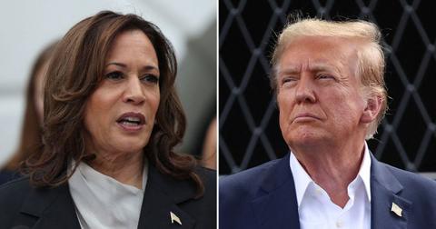 Harris labeled 'Calamity Kamala', 'Incompetent' and 'Scarily ill-equipped' to become president ahead of 'Do or Die' Trump debate