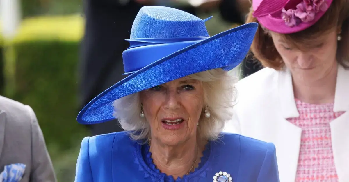 queen camilla recruits companion