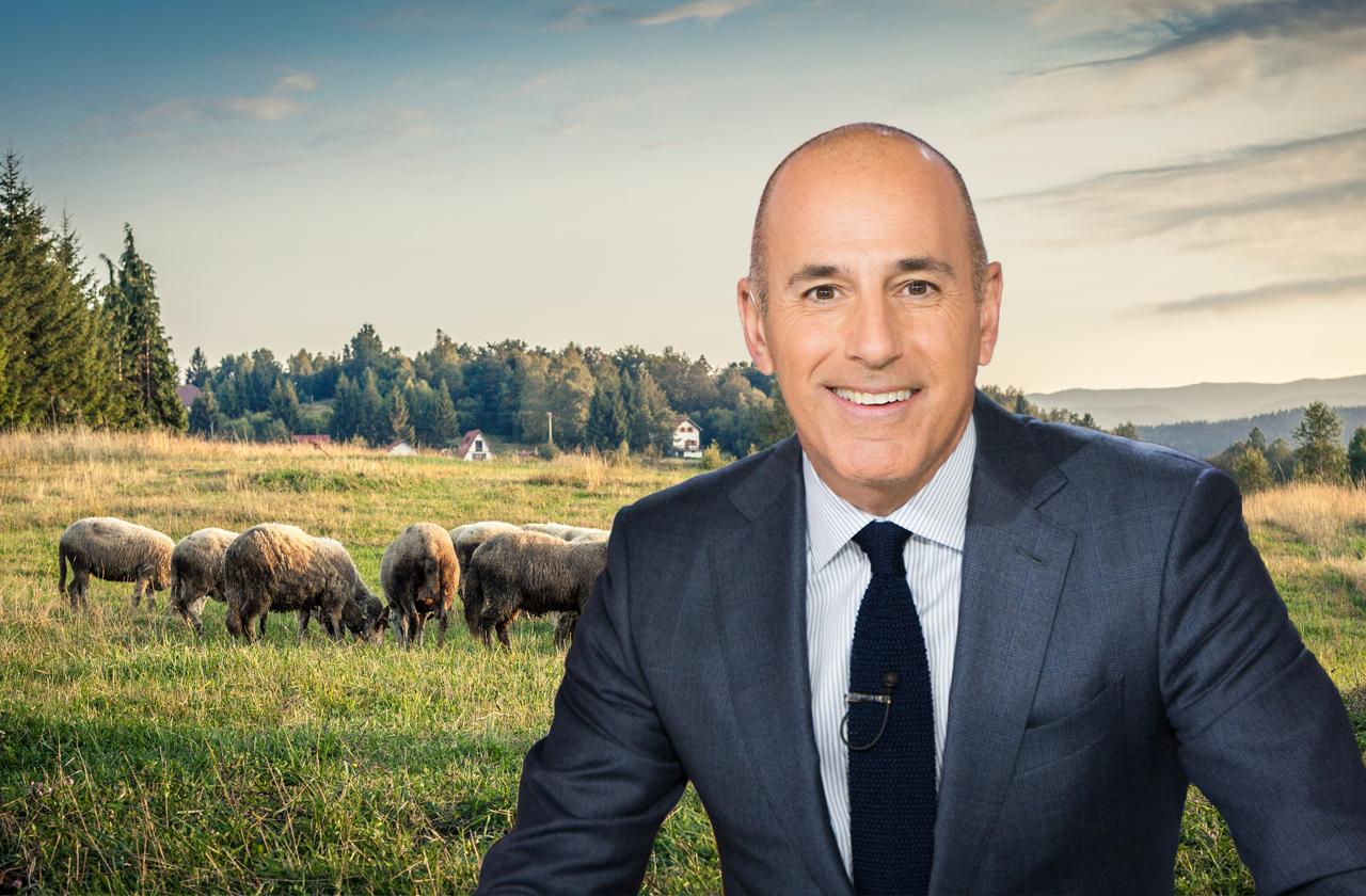 matt lauer ranch house new zealand quits hollywood