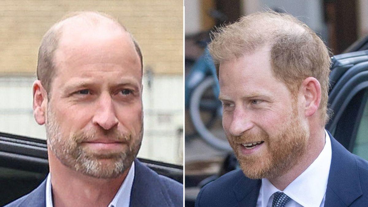 picture of Prince William and Prince Harry