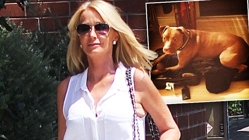 Kim Richards Lawsuit Court Paper