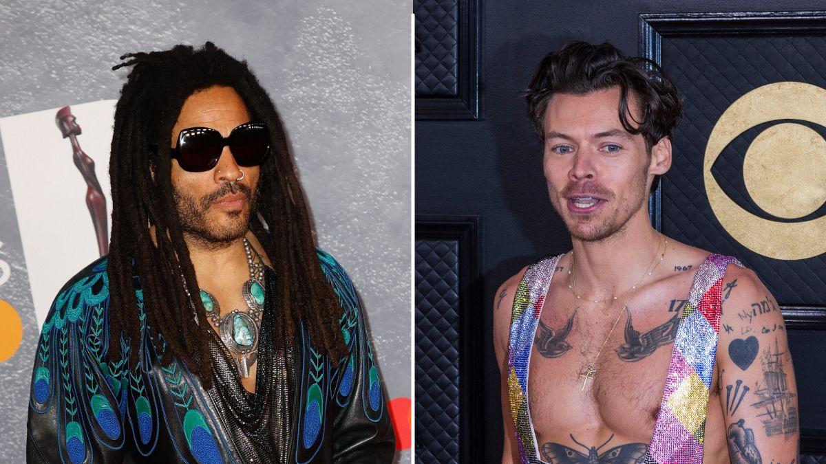 Lenny Kravitz is urging Harry Styles to propose to Zoë Kravitz after bonding with the singer over music in New York.