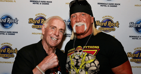 hulk hogan painkiller addiction