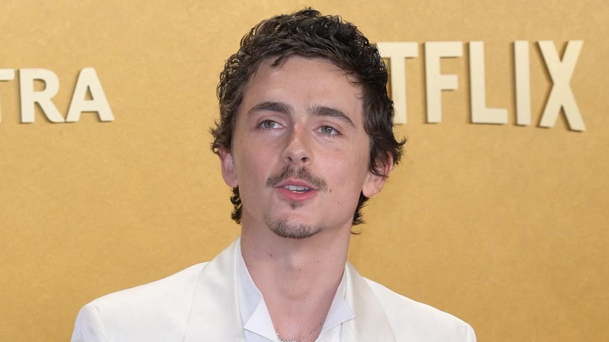 Photo of Timothée Chalamet 