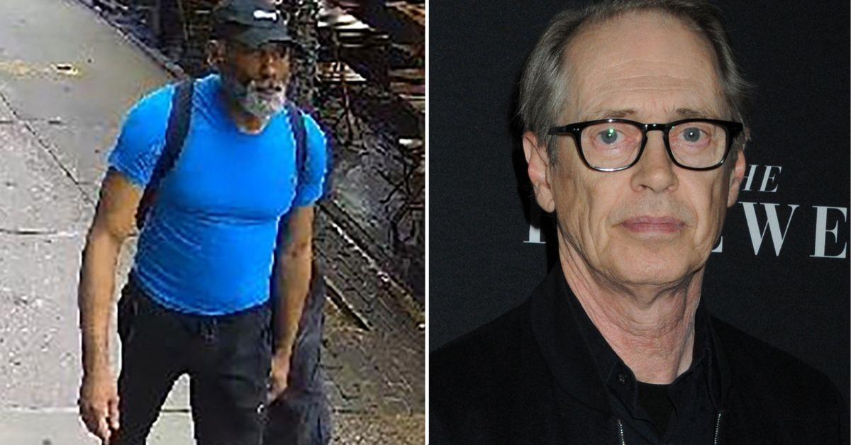 WATCH: Man Who Punched Steve Buscemi Mumbles in Video Before Unprovoked ...