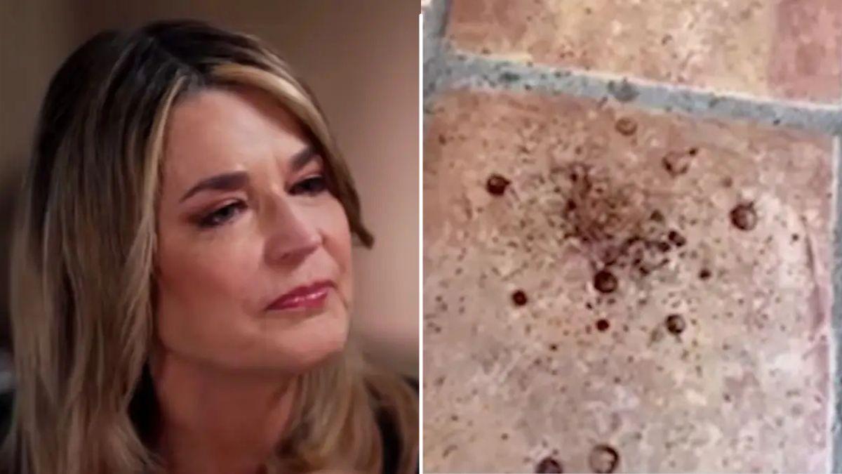 Savannah Guthrie blood stains