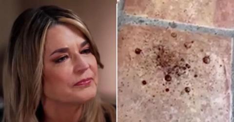 Savannah Guthrie blood stains