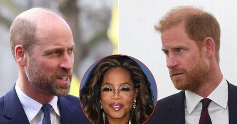 picture of Prince William, Prince Harry and Oprah Winfrey
